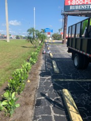 Commercial curbside landscape install along busy roadway