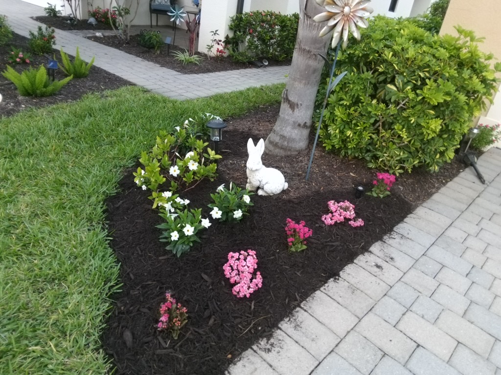 Tropical flower bed with annuals lining paver walkway