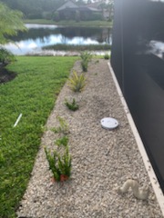 Lakeside decorative rock bed with native Florida plantings