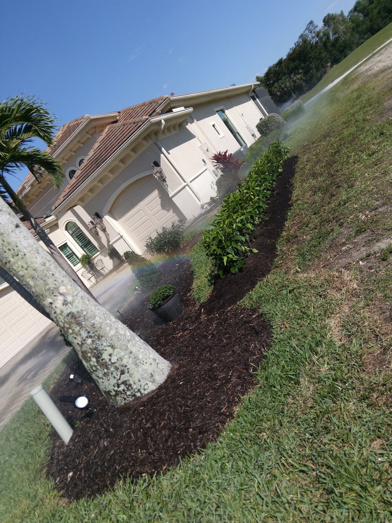 Fresh mulch installation with shrub planting around Florida home