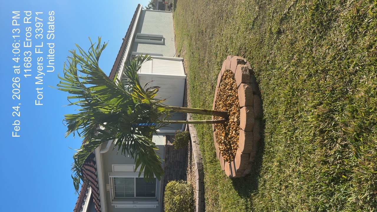 Finished palm tree paver ring with rock fill in Fort Myers FL