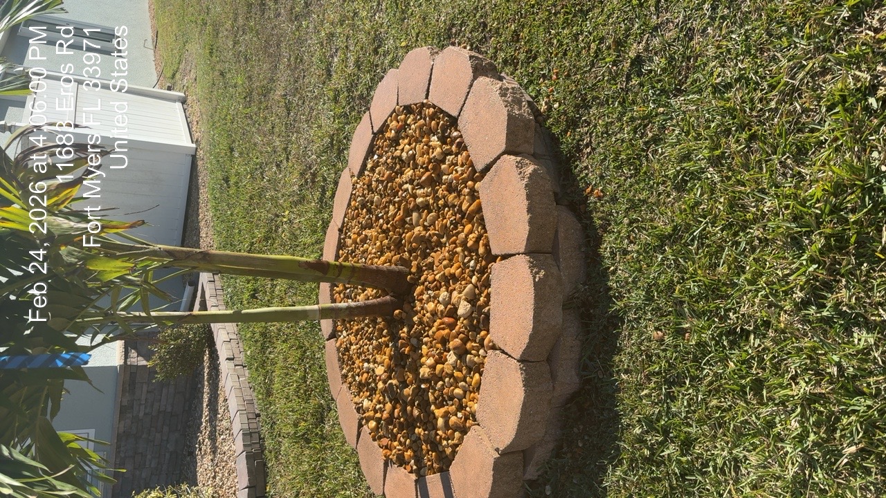 Decorative stone ring around palm tree filled with river rock