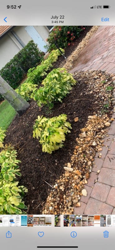 River rock border with mulch bed and variegated shrubs