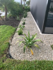 Modern white rock landscape bed with accent plants